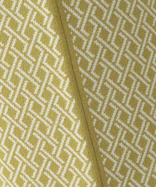 LEPSIM(レプシィム)の「12ゲージ無地柄ナロースカート(スカート・レディース・ブラック09/ブラック×ガラ10/イエロー×ガラ65・FREE SIZE)」の18枚目の写真