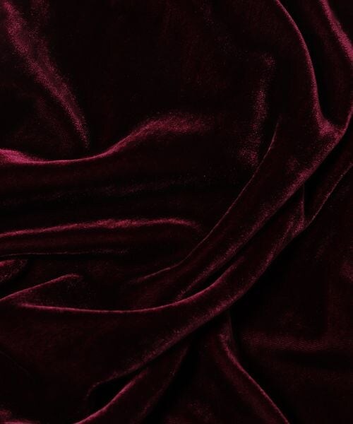 LOWRYS FARM（ローリーズファーム）の「ベロアキャミワンピース（ワンピース/ドレス・レディース・ブラック09/レッド35・F）」の19枚目の写真