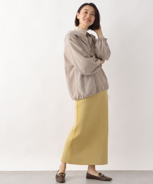 LEPSIM(レプシィム)の「アノラックジッププルオーバー(トップス・レディース・グレージュ13/チャコール19・FREE SIZE)」の3枚目の写真