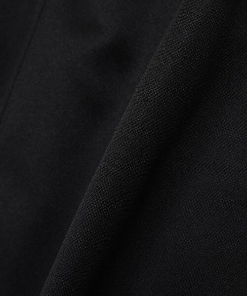 Needles（ニードルス）の「H.D. Track Pant - Poly Smooth（パンツ・メンズ・D.PURPLE/53/BLACK/01/TAUPE/14・S/M）」の8枚目の写真