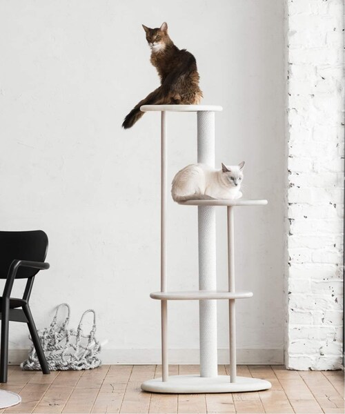 展示のみ美品 STAMMBAUM CORDURY キャプ　ナチュラル 展示のみ美品 STAMMBAUM CORDURY キャプ ナチュラル