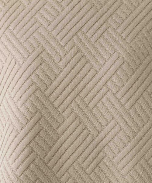 LEPSIM（レプシィム）の「カットキルティングプルオーバー（トップス・レディース・オフホワイト05/ピンク21/ベージュ51・FREE SIZE）」の15枚目の写真