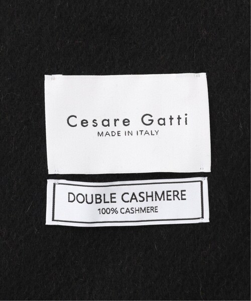 IENA(イエナ)の「【CESARE GATTI/チェザーレ ガッティ】DOUBLE CASHMEREストール(その他・グレー/フリー)」の6枚目の写真