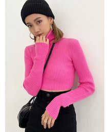 EMODA | ハイネッククロップニット(ニット/セーター)