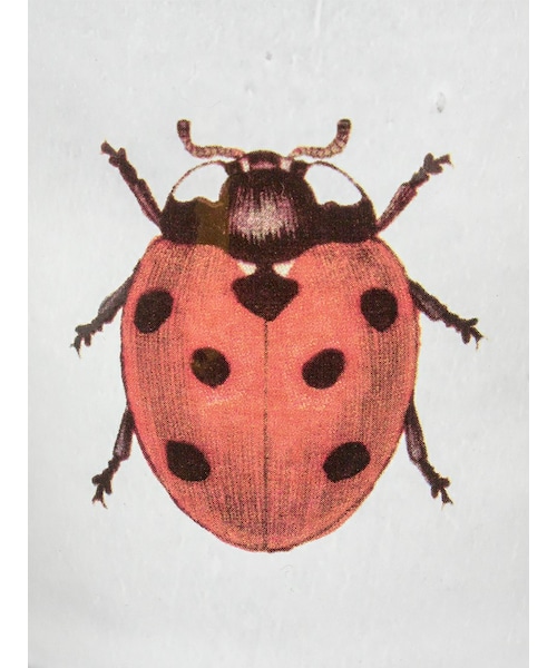 ASTIER de VILLATTE.（アスティエドヴィラット）の「H.P.DECO ASTIER