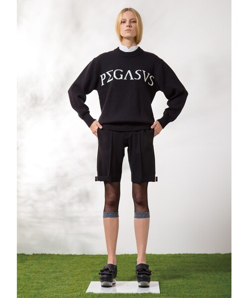 PAMEO POSE（パメオポーズ）の「【2015春新作】PEGASUS KNIT（トップス・レディース・ブラック/ピンク・F）」の5枚目の写真