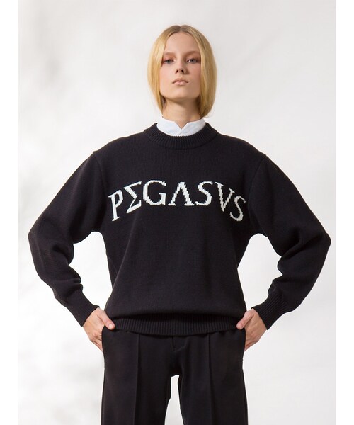 PAMEO POSE（パメオポーズ）の「【2015春新作】PEGASUS KNIT（トップス・レディース・ブラック/ピンク・F）」の6枚目の写真