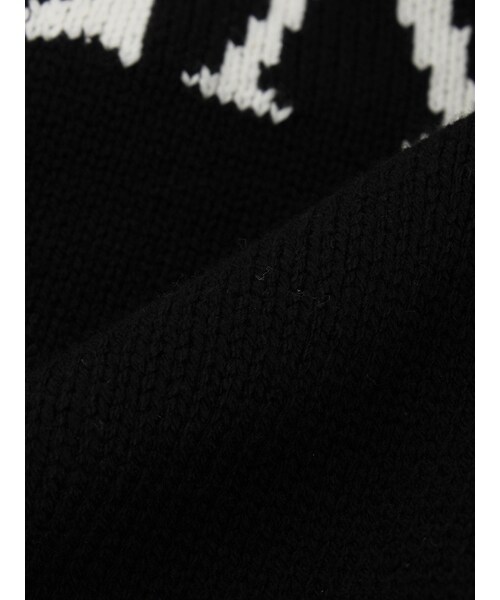 PAMEO POSE（パメオポーズ）の「【2015春新作】PEGASUS KNIT（トップス・レディース・ブラック/ピンク・F）」の18枚目の写真