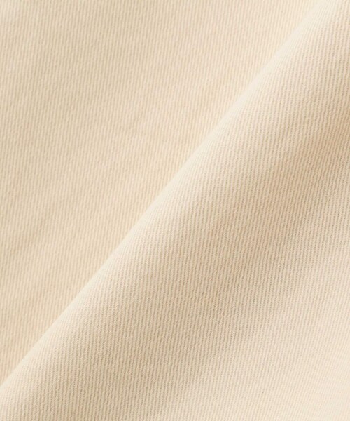 AVIREX(アヴィレックス)の「PAINTER DENIM WIDE PANTS/ ペインターデニムワイドパンツ(パンツ・ブラック/アイボリー/ウォッシュユーズド・S/M)」の21枚目の写真