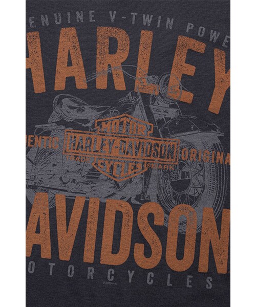 Harley-Davidson（ハーレーダビッドソン）の「남성 바이크 코리아 반팔티셔츠 BLACK（その他・BLUE・S/M/L/XL/2XL/3XL）」の5枚目の写真