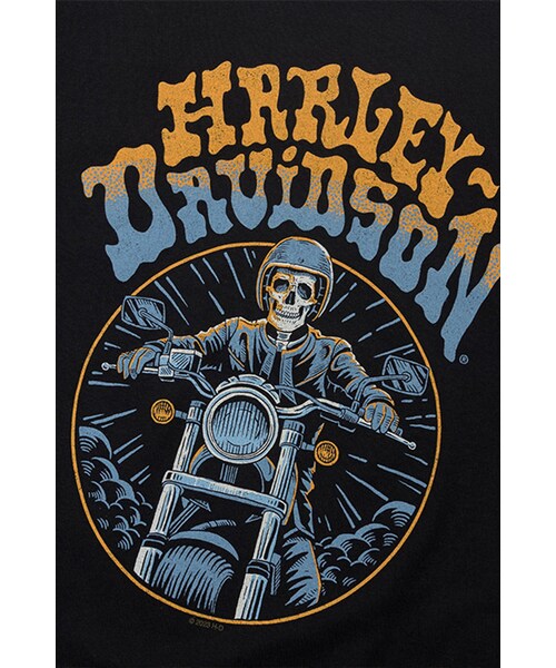 Harley-Davidson（ハーレーダビッドソン）の「남성 스컬 코리아 반팔티셔츠 BLACK（その他・BLUE・S/M/L/XL/2XL/3XL）」の5枚目の写真