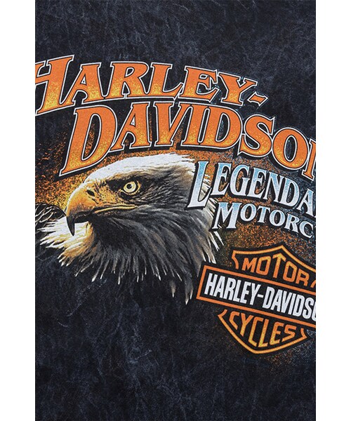 Harley-Davidson（ハーレーダビッドソン）の「남성 이글 코리아 반팔티셔츠 BLACK（その他・BLUE・S/M/L/XL/2XL/3XL）」の5枚目の写真