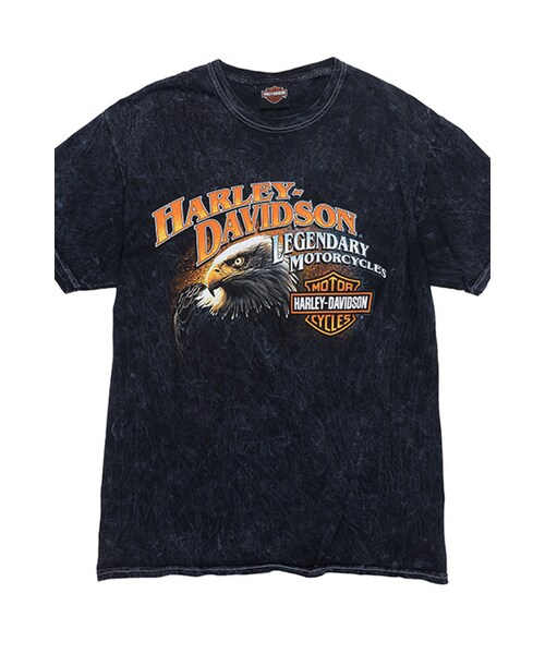 Harley-Davidson（ハーレーダビッドソン）の「남성 이글 코리아 반팔티셔츠 BLACK（その他・BLUE・S/M/L/XL/2XL/3XL）」の2枚目の写真