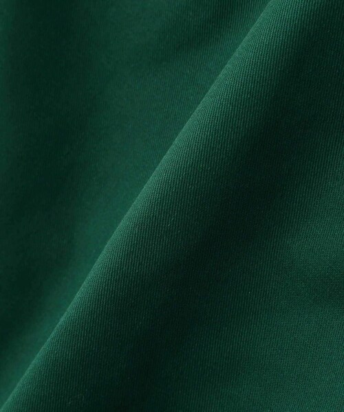 AVIREX(アヴィレックス)の「【WEB&DEPOT限定】TC TWILL SNOW PANTS / スノーパンツ(パンツ・ベージュ/グリーン/サックス・S/M/L)」の6枚目の写真