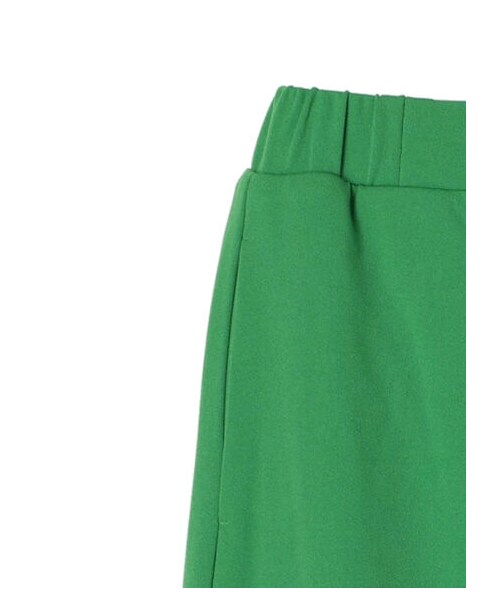 Green Parks(グリーンパークス)の「カットジョーゼットIラインスカート(スカート・アイボリー/ブラック/グリーン・F)」の12枚目の写真