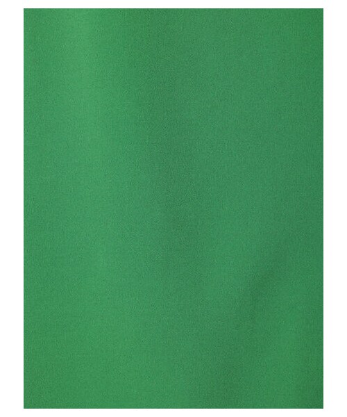 Green Parks(グリーンパークス)の「カットジョーゼットIラインスカート(スカート・アイボリー/ブラック/グリーン・F)」の17枚目の写真