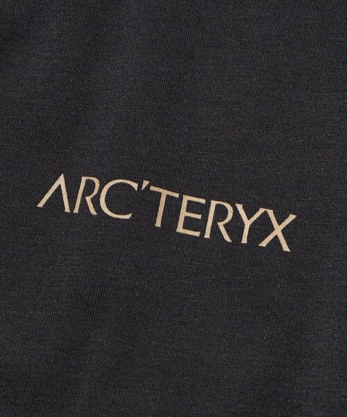 ARC'TERYX（アークテリクス）の「CAPTIVE SPLIT SS T-SHIRT/キャプティブ スプリット ショート スリーブ Tシャツ（その他・ホワイト/ブラック/ダークブラウン/ブルー・XS）」の6枚目の写真