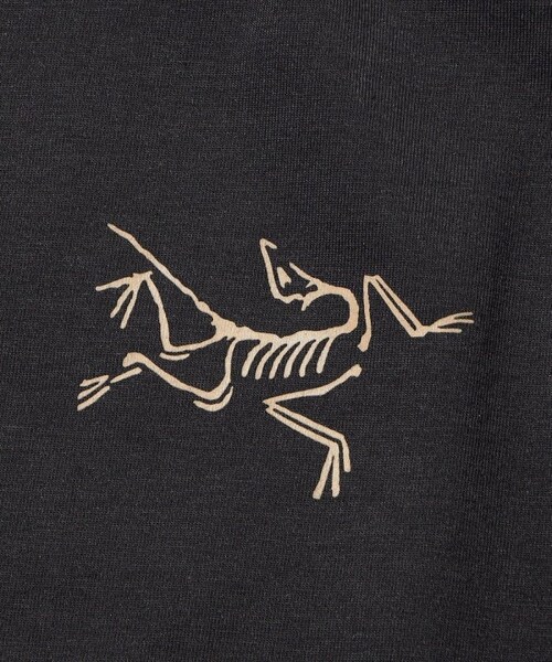 ARC'TERYX（アークテリクス）の「CAPTIVE SPLIT SS T-SHIRT/キャプティブ スプリット ショート スリーブ Tシャツ（その他・ホワイト/ブラック/ダークブラウン/ブルー・XS）」の7枚目の写真