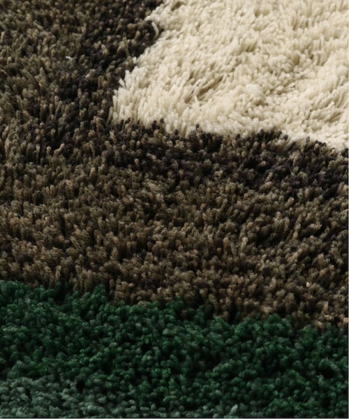 ACME FURNITURE（アクメファニチャー）の「《予約》POMONA RUGポモナ ラグ マット120X160cm（その他・グリーン/フリー）」の22枚目の写真