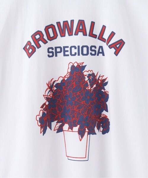 JOINT WORKS(ジョイントワークス)の「【Niche. /ニッチ】 ROYAL Ringer T-Shirts : BROWA(その他・レッド/M/L)」の9枚目の写真