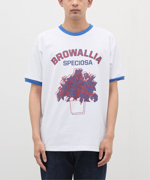 JOINT WORKS(ジョイントワークス)の「【Niche. /ニッチ】 ROYAL Ringer T-Shirts : BROWA(その他・レッド/M/L)」の15枚目の写真