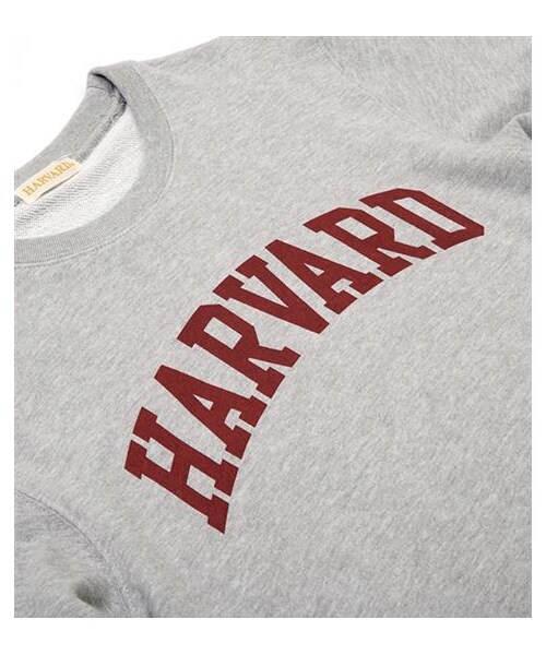 Audience（オーディエンス）の「Harvard大學衛衣（その他・メンズ・灰・M/L）」の2枚目の写真