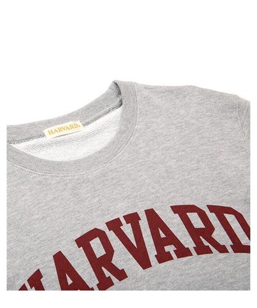 Audience（オーディエンス）の「Harvard大學衛衣（その他・メンズ・灰・M/L）」の3枚目の写真