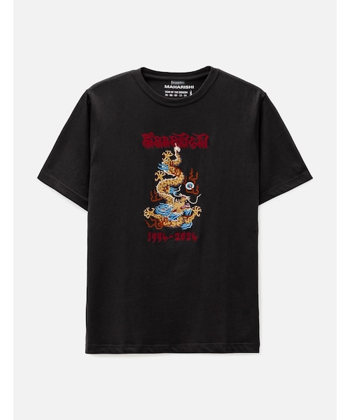 Descending Dragon T-shirt