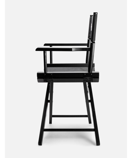 Director's Chair