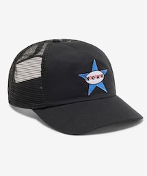 Always Got The Blues Trucker