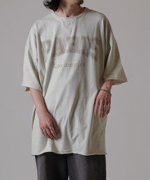Lui's | スノーウォッシュPARIS T(Tシャツ/カットソー)