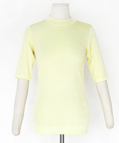 DHOLIC（ディーホリック）の「スリムハーフスリーブ首つまりTシャツ（Tシャツ/カットソー・レディース・ベージュ/アイボリー/ディープスカイブルー/ライム/ブラック/ピンク・FREE）」の5枚目の写真