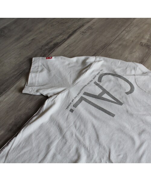 BRIMSTONE&TREACLE（ブリムストーンアンドトリークル）の「フォトプリントTシャツ　WGY（Tシャツ/カットソー・メンズ・その他）」の6枚目の写真