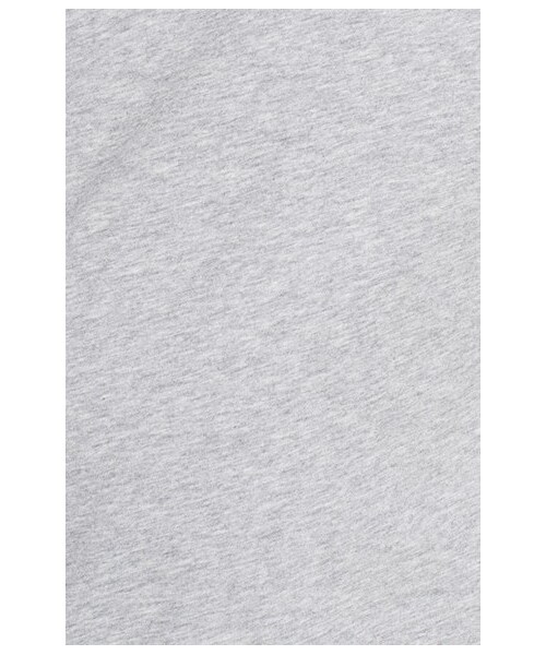 HELMUT LANG（ヘルムートラング）の「Helmut Lang 'Base Jersey' Colorblock T-Shirt（Tシャツ/カットソー・メンズ・Grey/ White・Regular Small/Regular Large/Regular Medium/Regular X-Large）」の4枚目の写真