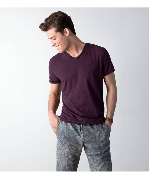 American Eagle（アメリカンイーグル）の「AEOレジェンドVネックTシャツ（Tシャツ/カットソー・メンズ・ボールドブラック/ブライトネオンレッド/キウィブラスト/ネイビー/シーフォームサーフ/レッドビーム/ライムエイド/ブラックチェリー/ハイライターピンク/コバルトナイト/レイターゲイター/ホライズンブルー/ディープシーダイブ・XS/S/M/L/XL/XXL/XXXL）」の5枚目の写真