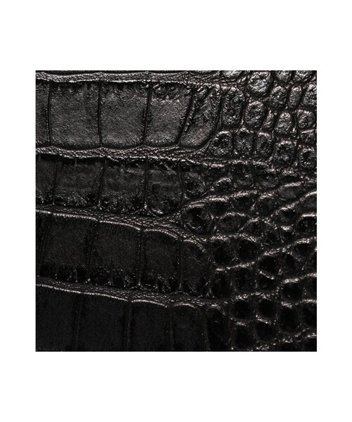 JOURNAL STANDARD relume（ジャーナルスタンダード　レリューム）の「LIMPRONTA BOXガタ カタオシレザーBAG（バッグ・レディース・ブラック/ホワイト・フリー）」の14枚目の写真