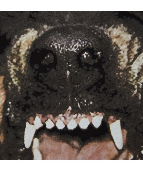 GIVENCHY（ジバンシイ）の「Givenchy Cuban-Fit Rottweiler-Print Cotton T-Shirt（Tシャツ/カットソー・メンズ・Black・XXS/XS/M/XL）」の6枚目の写真