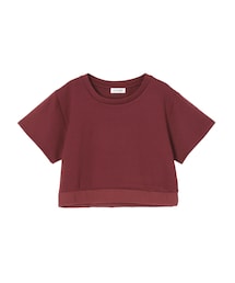 EVRIS | シンプルクロップドTOPS(トップス)