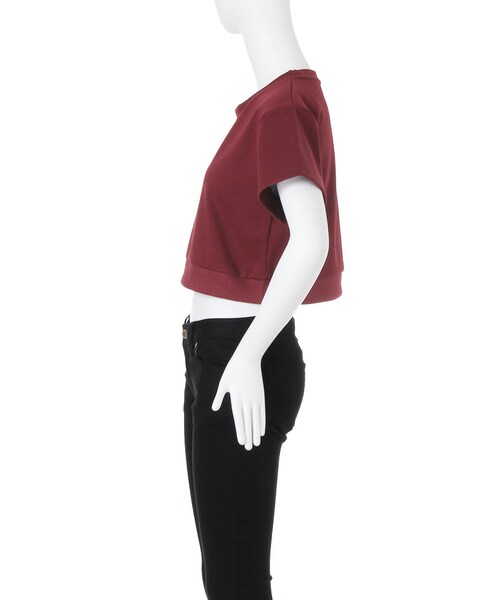 EVRIS（エヴリス）の「シンプルクロップドTOPS（トップス・レディース・ブラック/ボルドー・F）」の6枚目の写真