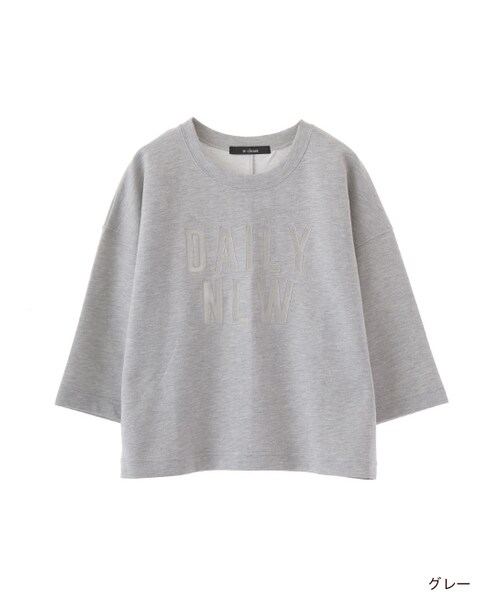 w closet（ダブルクローゼット）の「オーガンジーロゴ入りプルオーバー（トップス・レディース・オフホワイト/グレー/D.オレンジ/ブラック・FREE）」の3枚目の写真