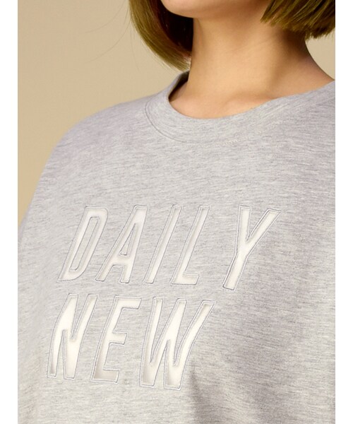 w closet（ダブルクローゼット）の「オーガンジーロゴ入りプルオーバー（トップス・レディース・オフホワイト/グレー/D.オレンジ/ブラック・FREE）」の10枚目の写真