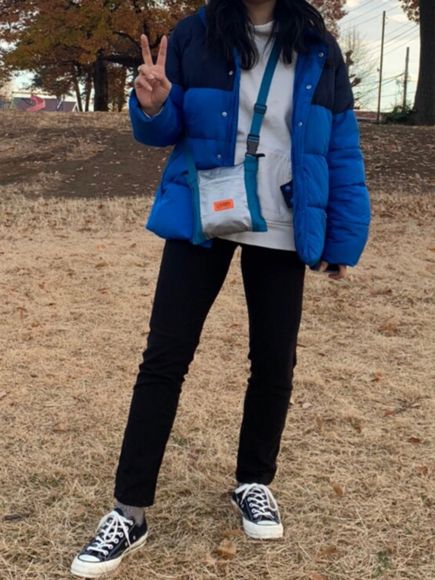 GAP（ギャップ）の「Coldcontrol Max カラーブロック パファー