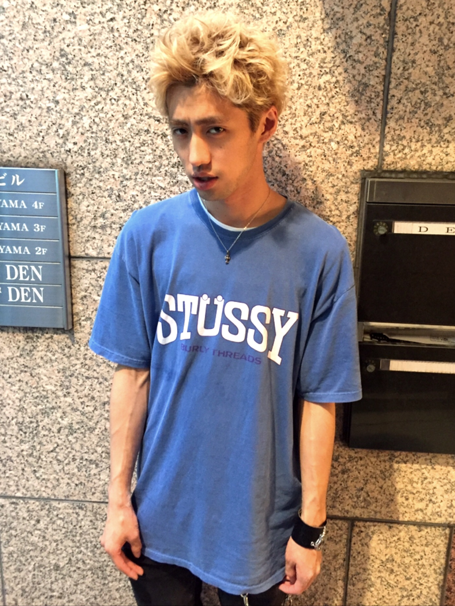 STUSSY（ステューシー）の「Burly Threads Pig Dyed Tee（Tシャツ 
