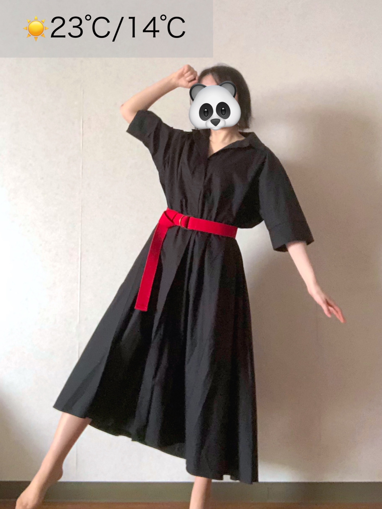 AMACAスキッパーシャツフレンチスリーブワンピース/ペチコート付き/ coca（coca）（コカ）の「フレンチスリーブスキッパーシャツ