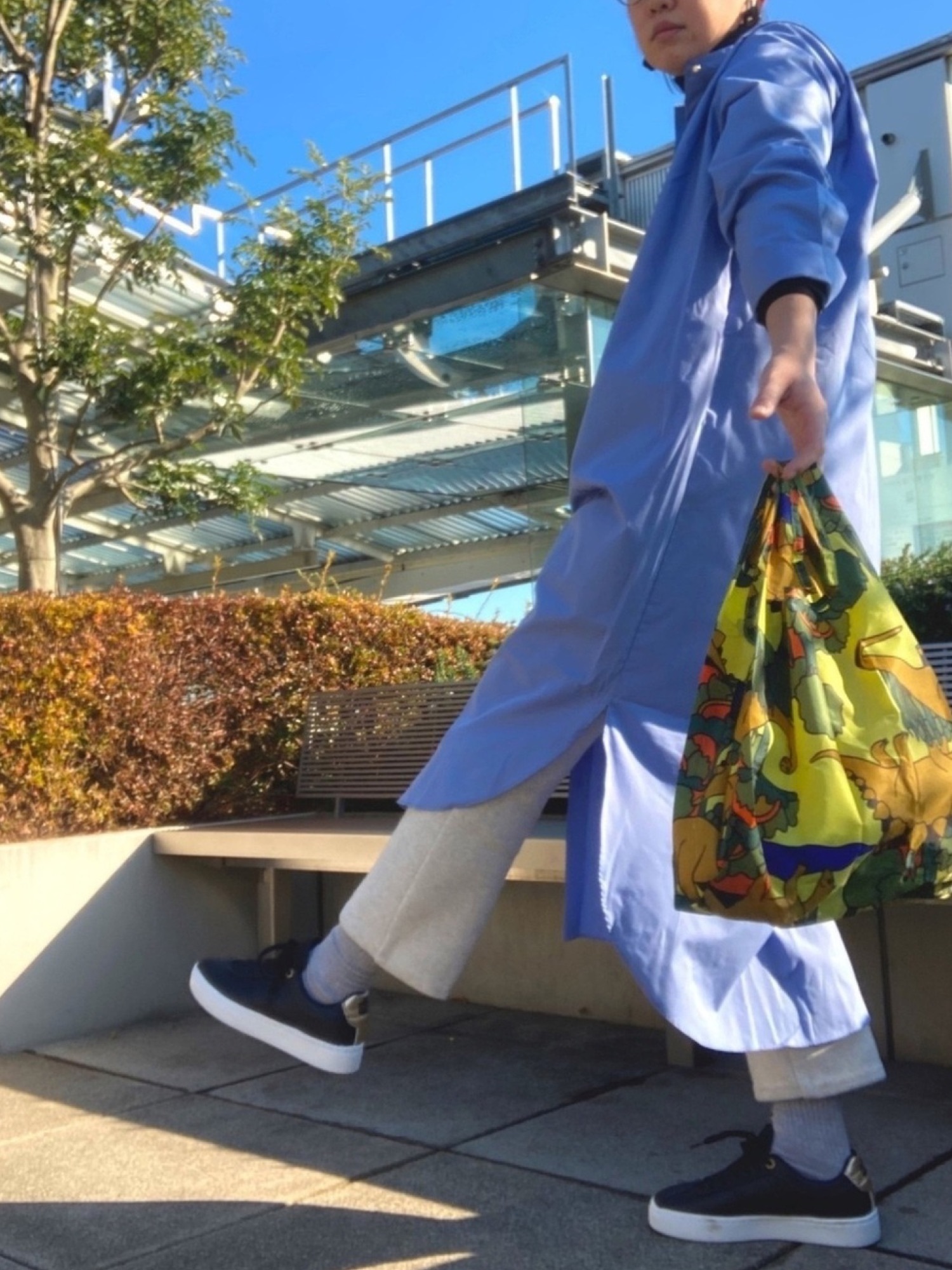 BAGGU ダイナソー　standard BAGGU (バグー) / STANDARD BAGGU エコバッグ - メタリックシルバー