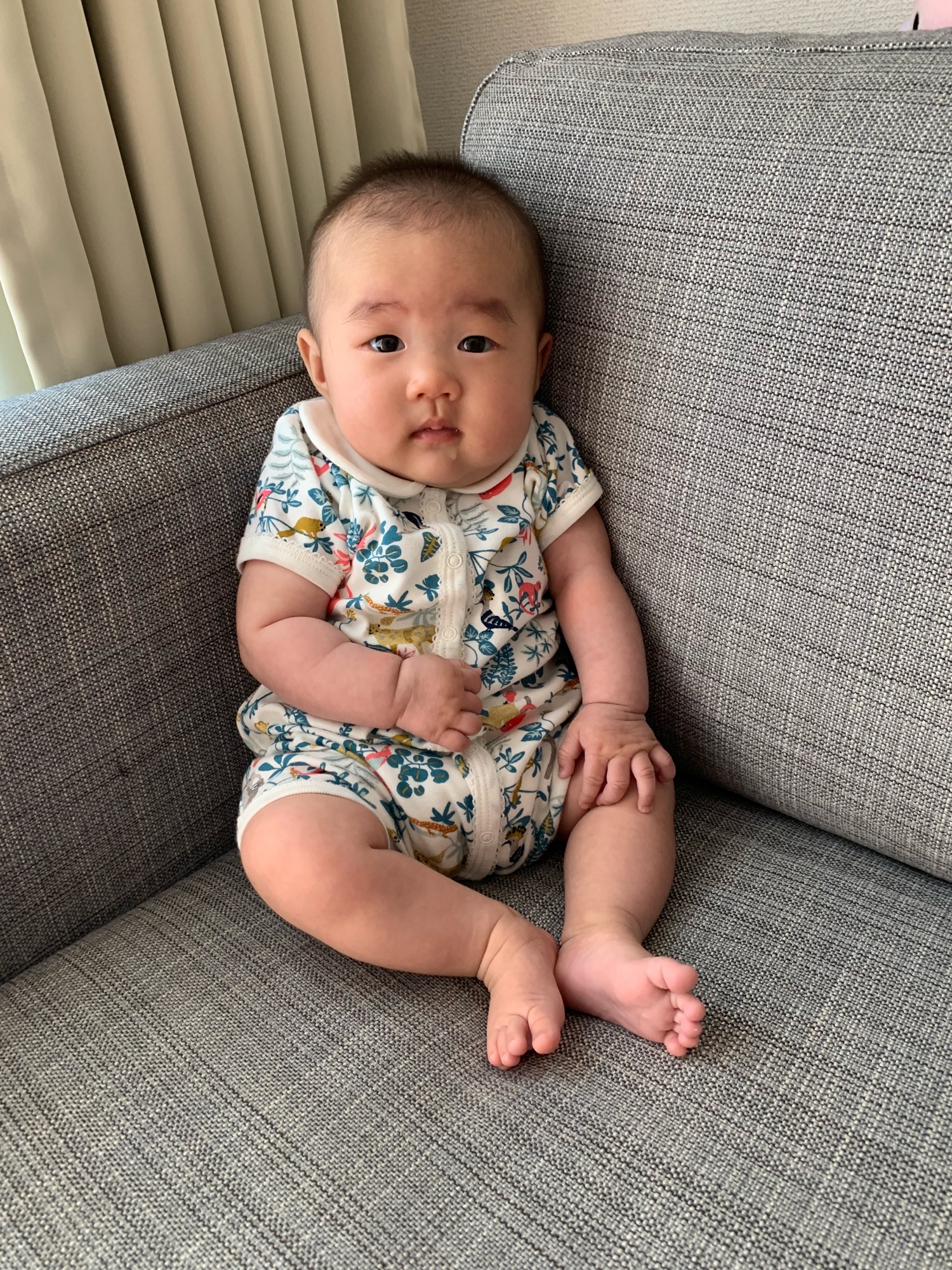 PETIT BATEAU（プチバトー）の「衿つきプリントショート