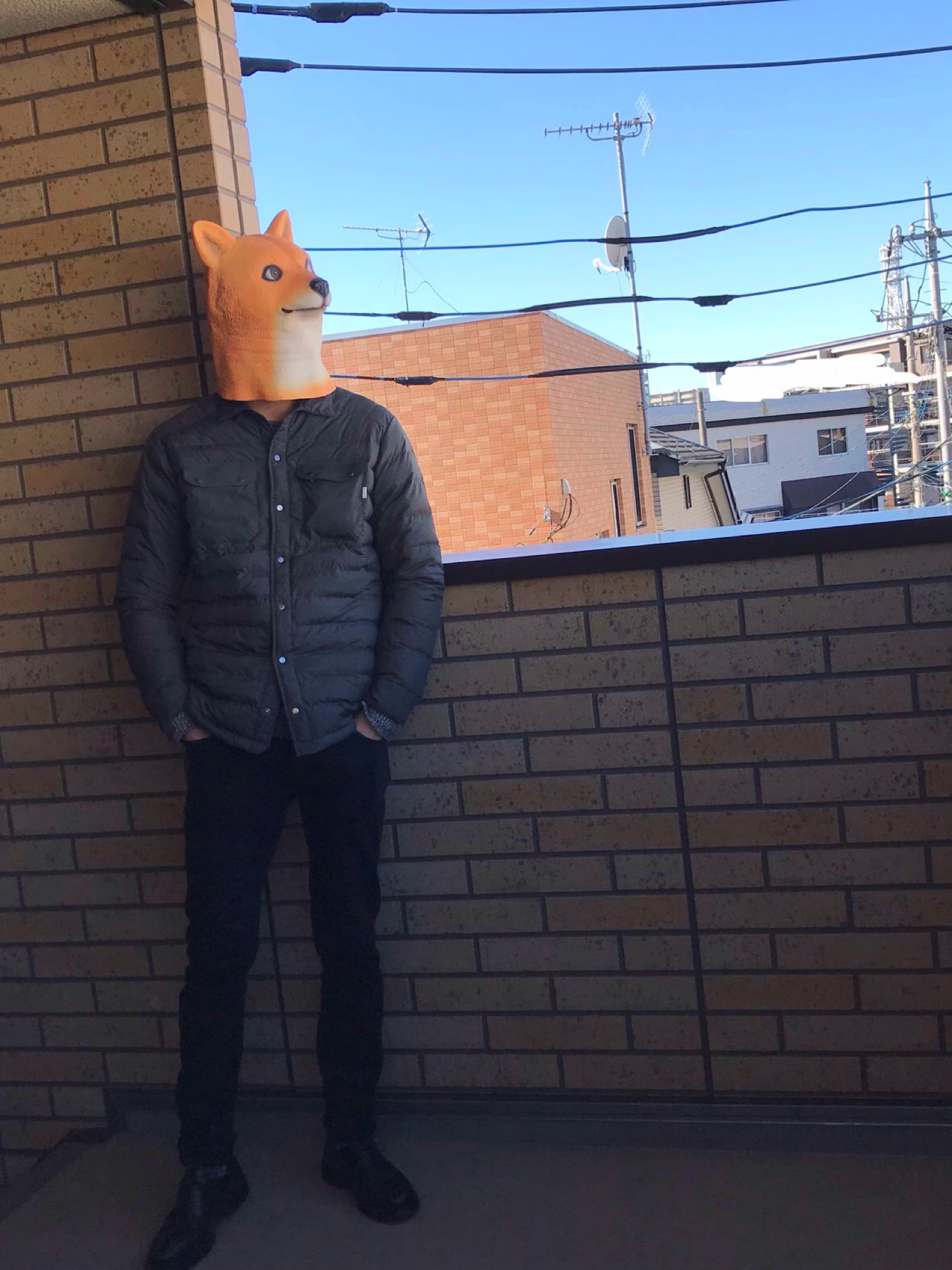 HAGLOFS（ホグロフス）の「TALLBERG DOWN JACKET MEN／テルバリー 