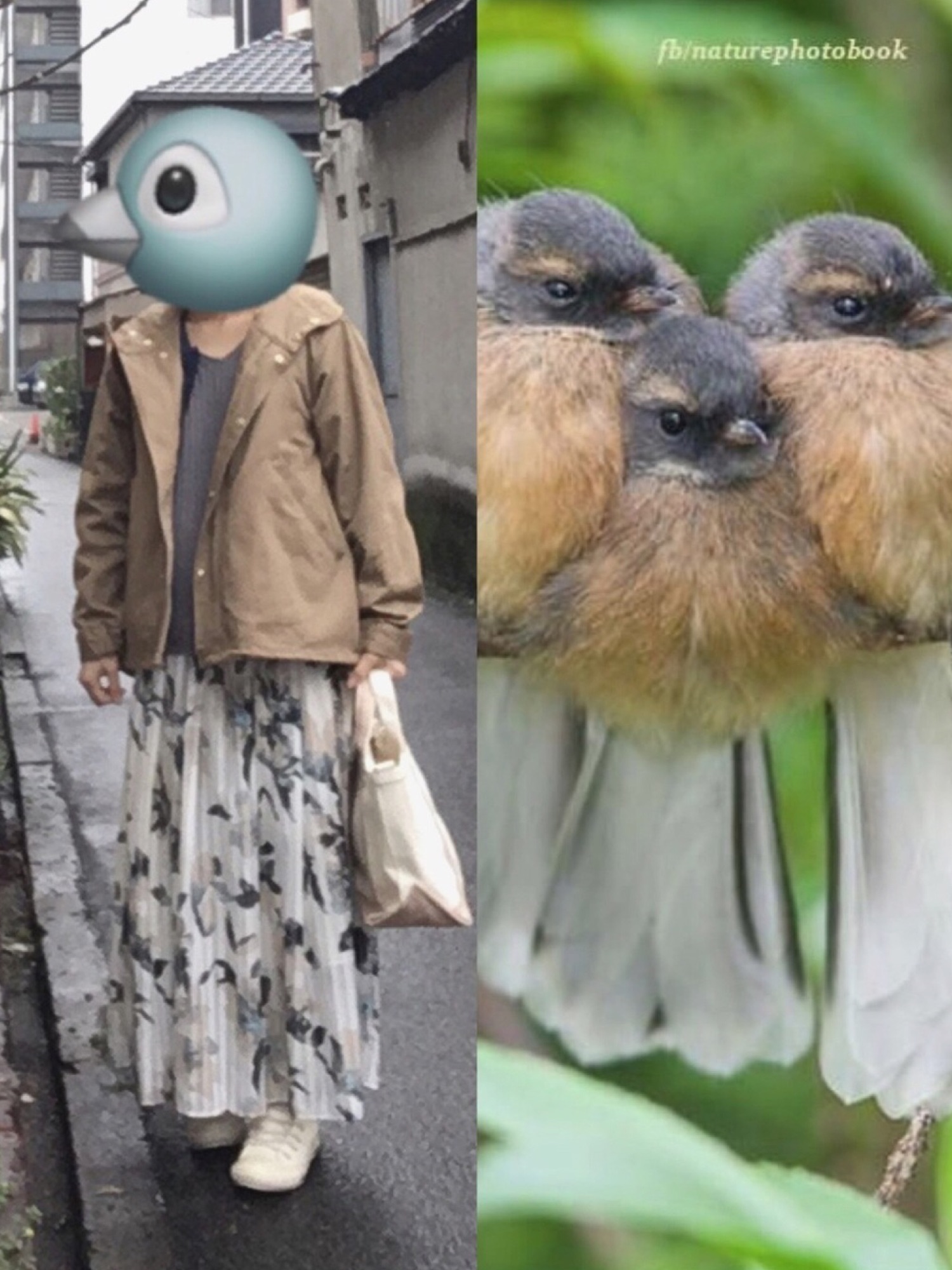 IENA（イエナ）の「ホールガーメント ウールカシミヤワイドリブプル