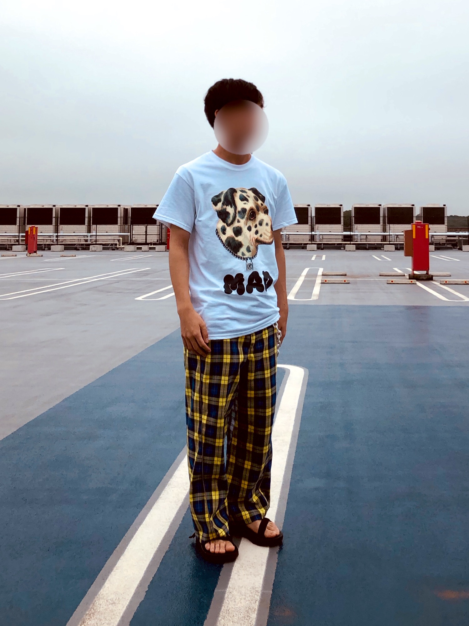 undercover T期 M51 カットソー ブルゾン Tシャツ カモ柄 undercover T期 M51 カットソー ブルゾン Tシャツ カモ柄 - メルカリ