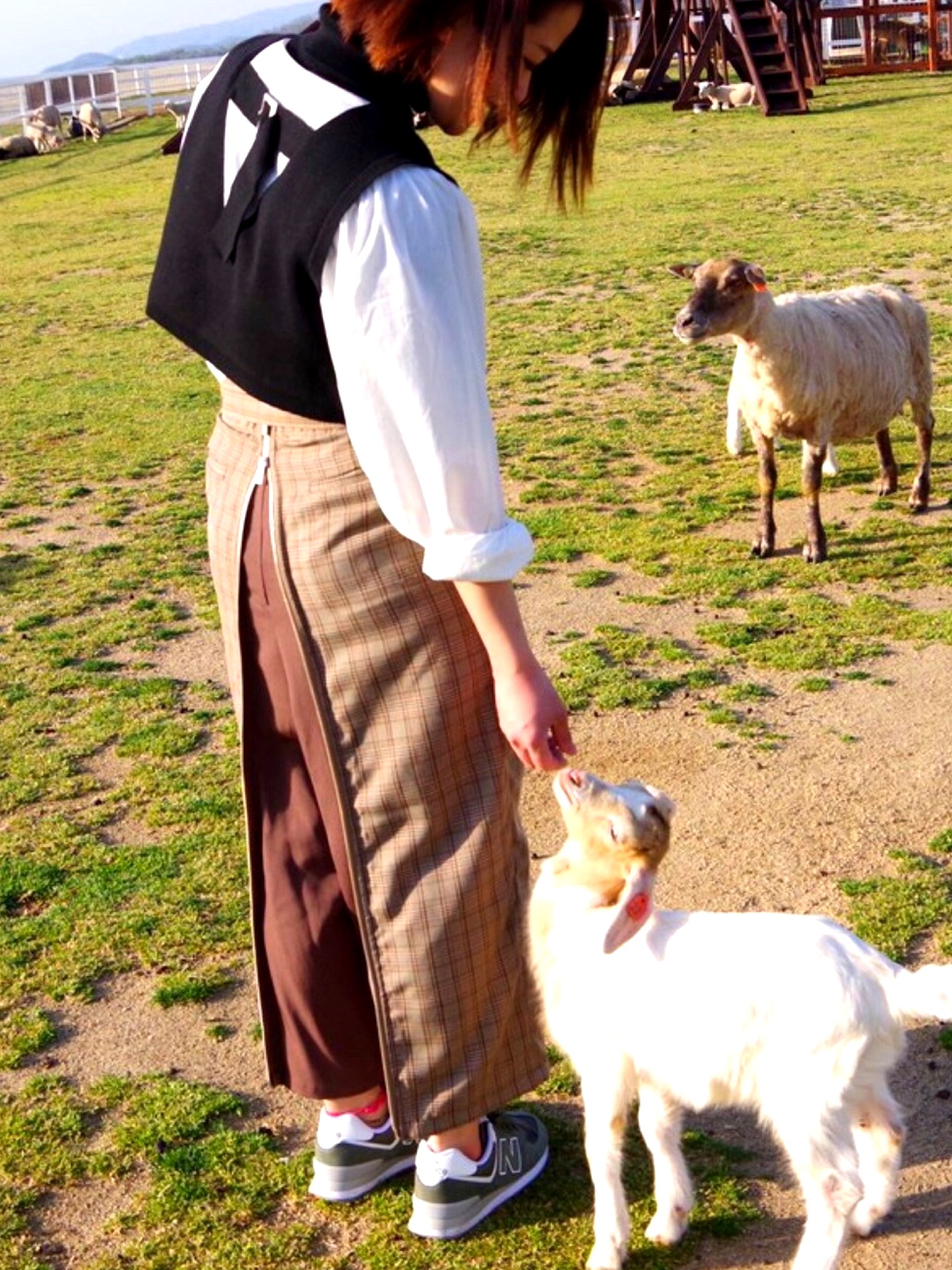 Ameri（アメリ）の「MINI KNIT DOCKING SHIRT（シャツ/ブラウス）」 - WEAR